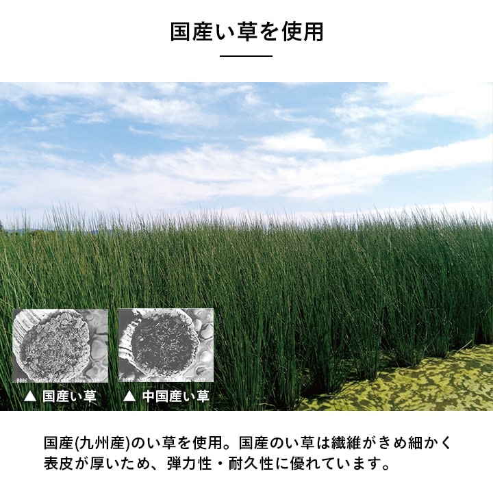 ハイハイ期の赤ちゃんをサポート!すくすく畳