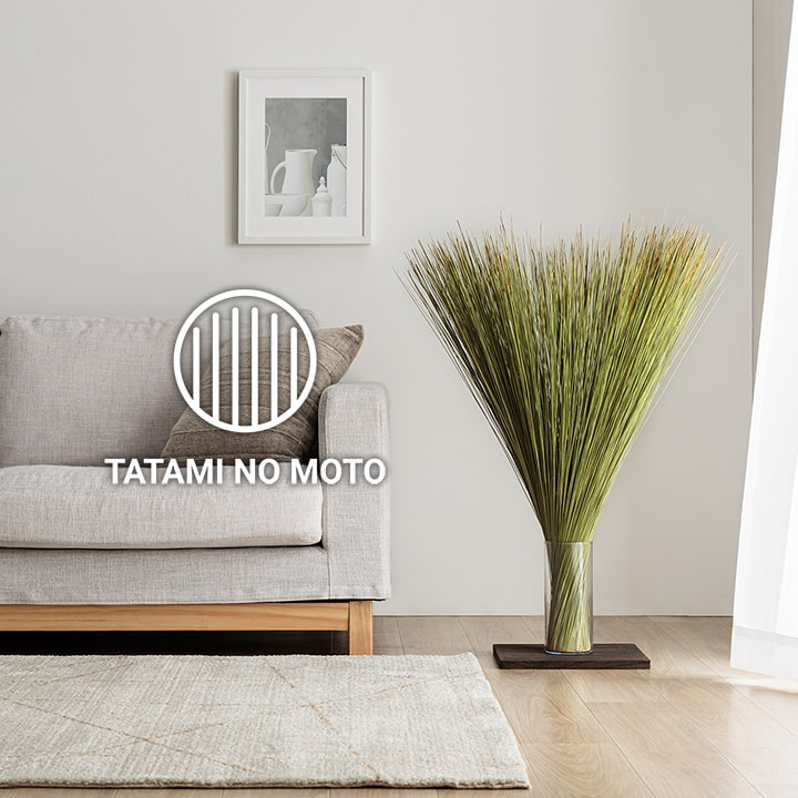 TATAMI NO MOTO 畳のもと い草で作った消臭機能付き観葉植物